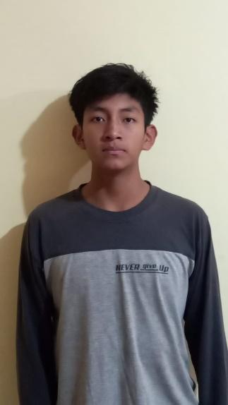 User Image